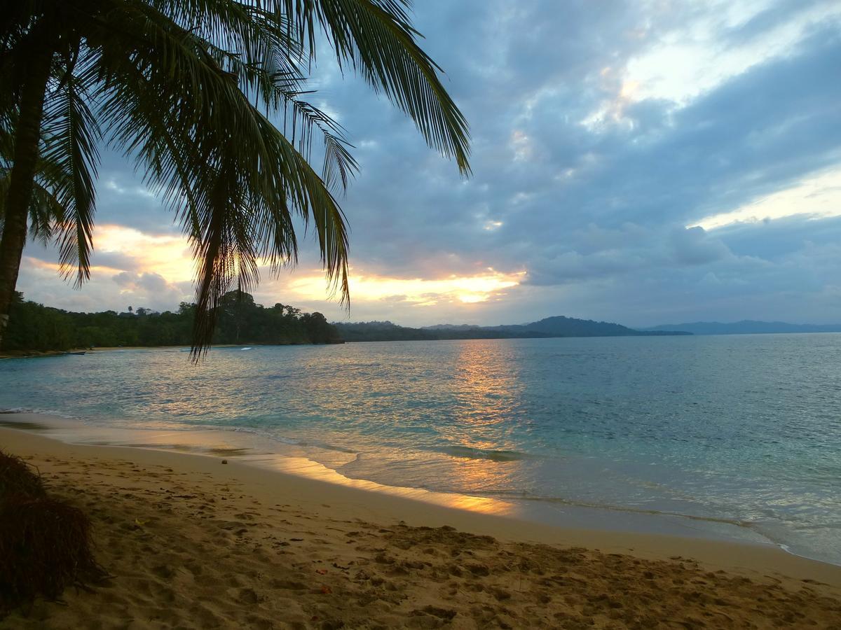 Вилла Chiquita Houses Puerto Viejo de Talamanca Экстерьер фото